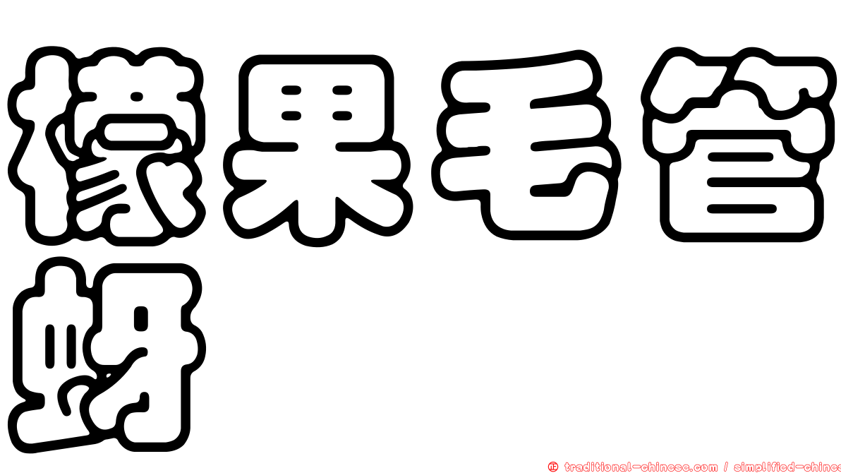 檬果毛管蚜