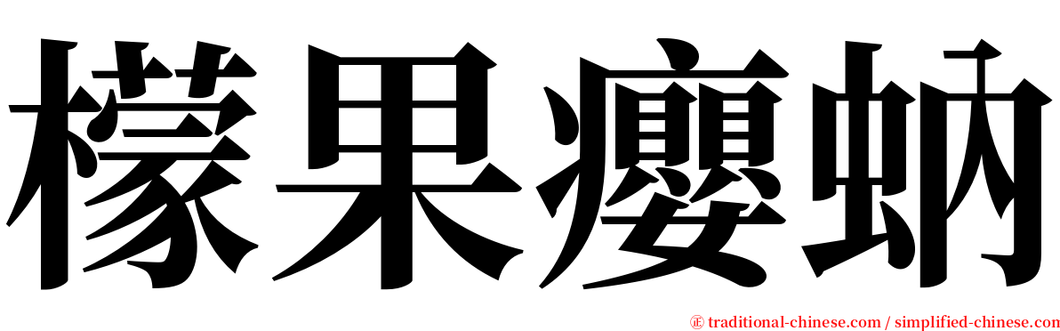 檬果癭蚋 serif font