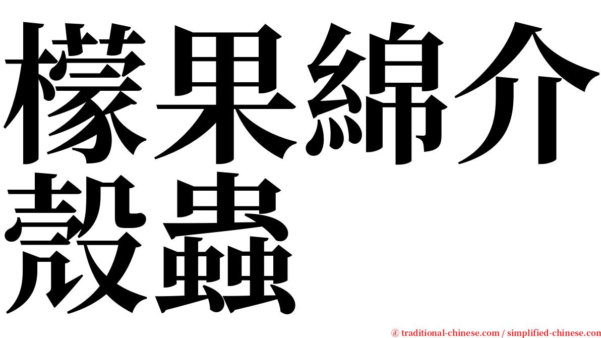 檬果綿介殼蟲 serif font