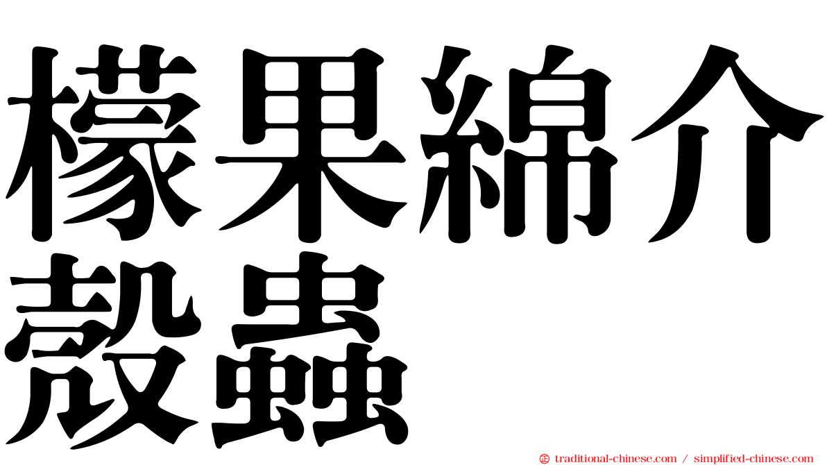 檬果綿介殼蟲