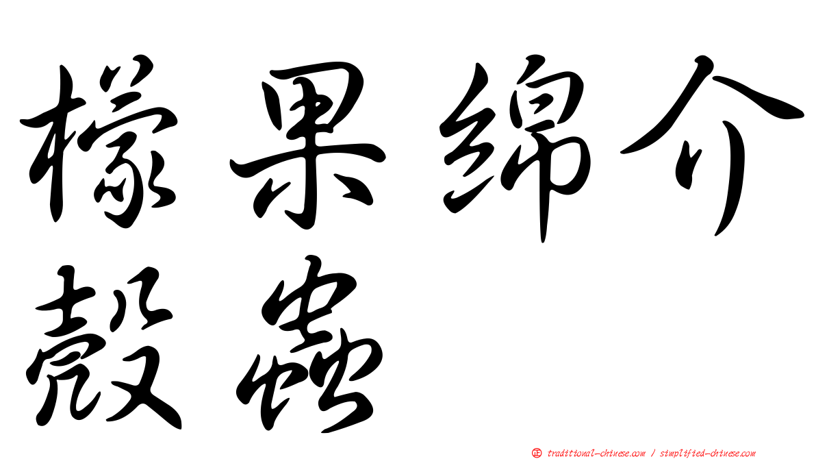 檬果綿介殼蟲