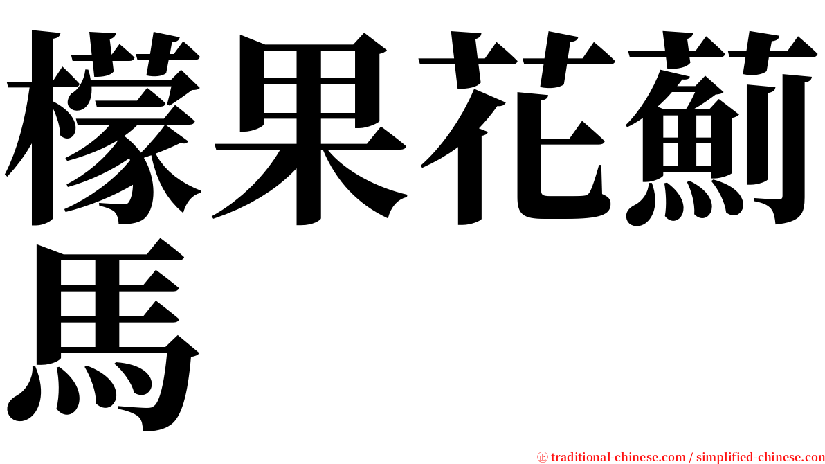 檬果花薊馬 serif font