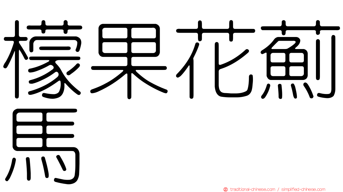 檬果花薊馬