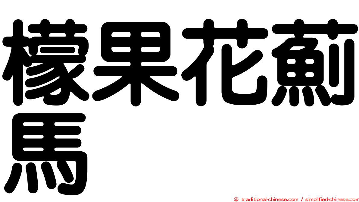 檬果花薊馬