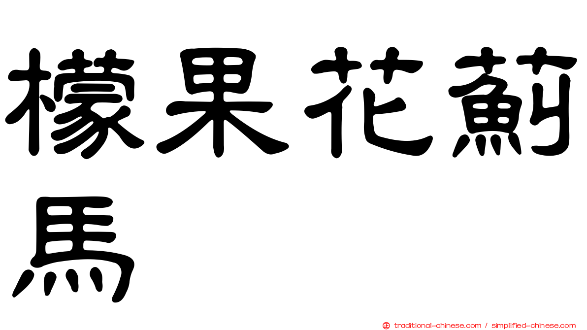 檬果花薊馬