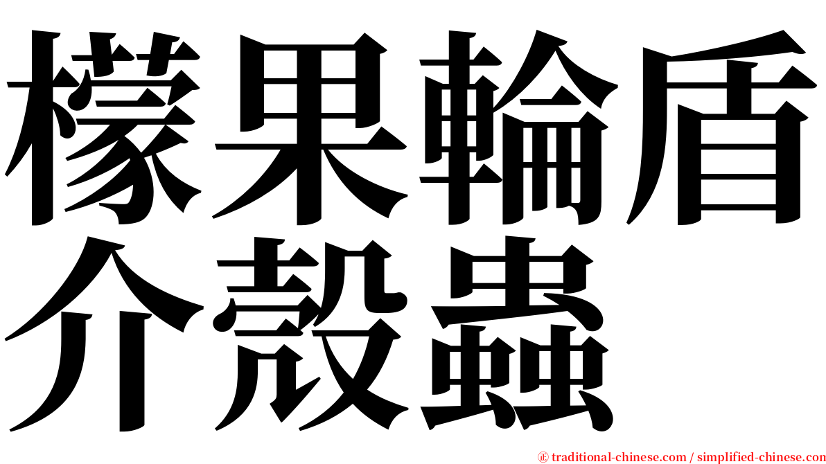 檬果輪盾介殼蟲 serif font