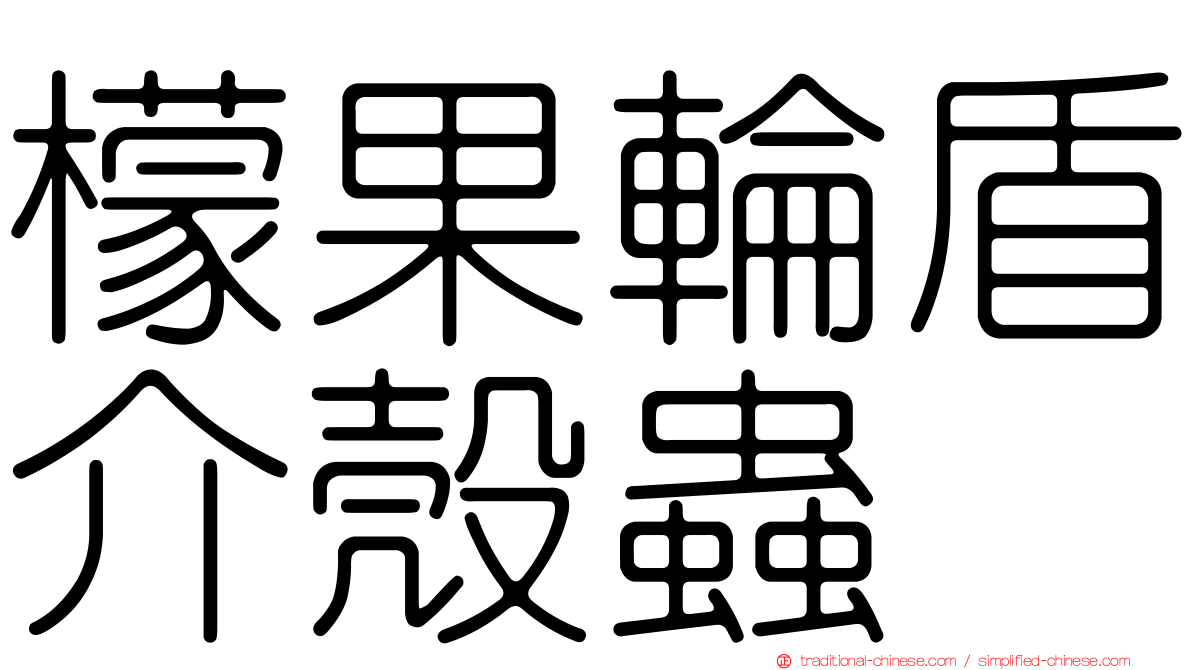 檬果輪盾介殼蟲