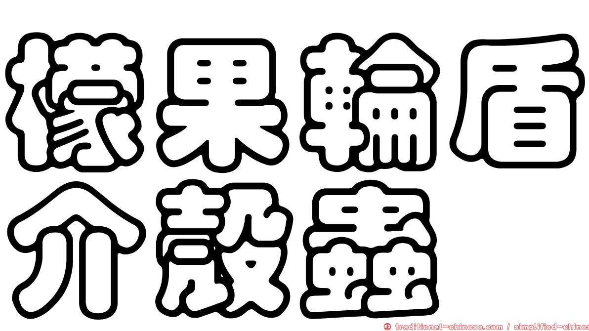檬果輪盾介殼蟲