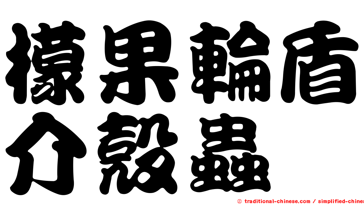 檬果輪盾介殼蟲