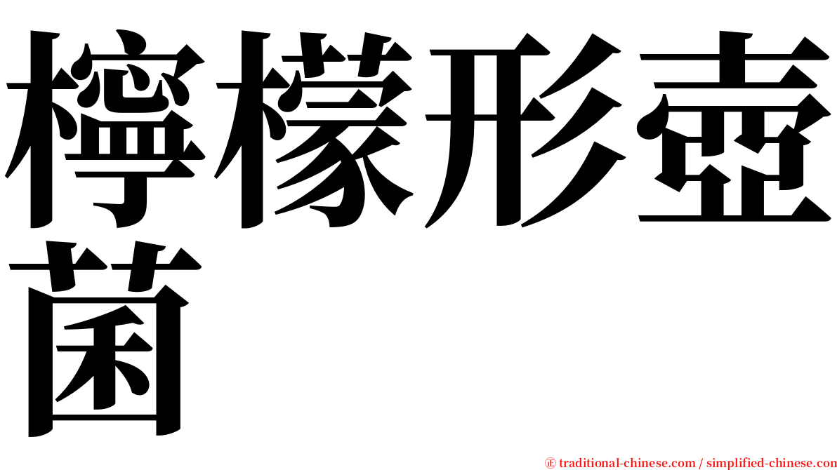 檸檬形壺菌 serif font