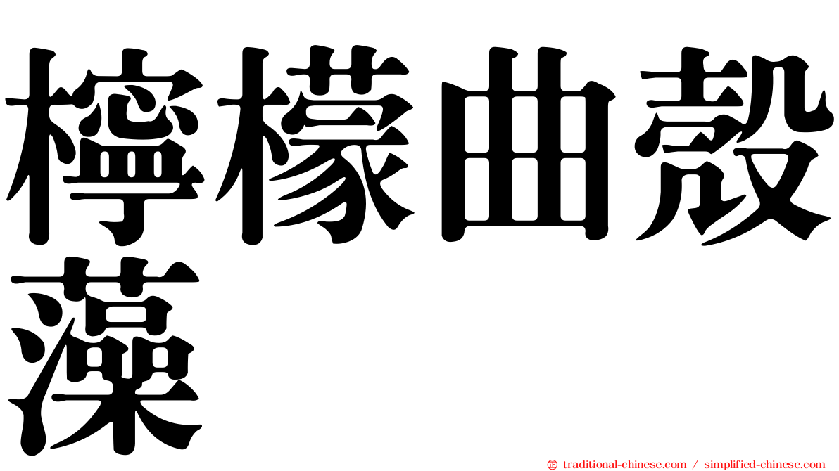 檸檬曲殼藻