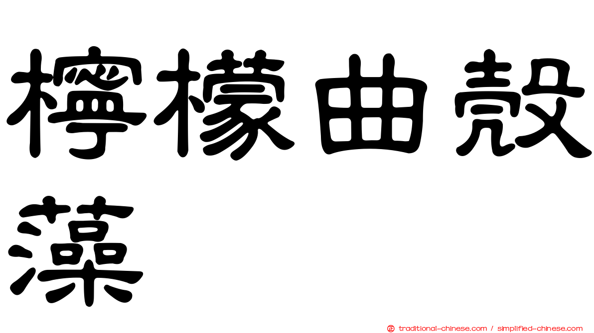 檸檬曲殼藻