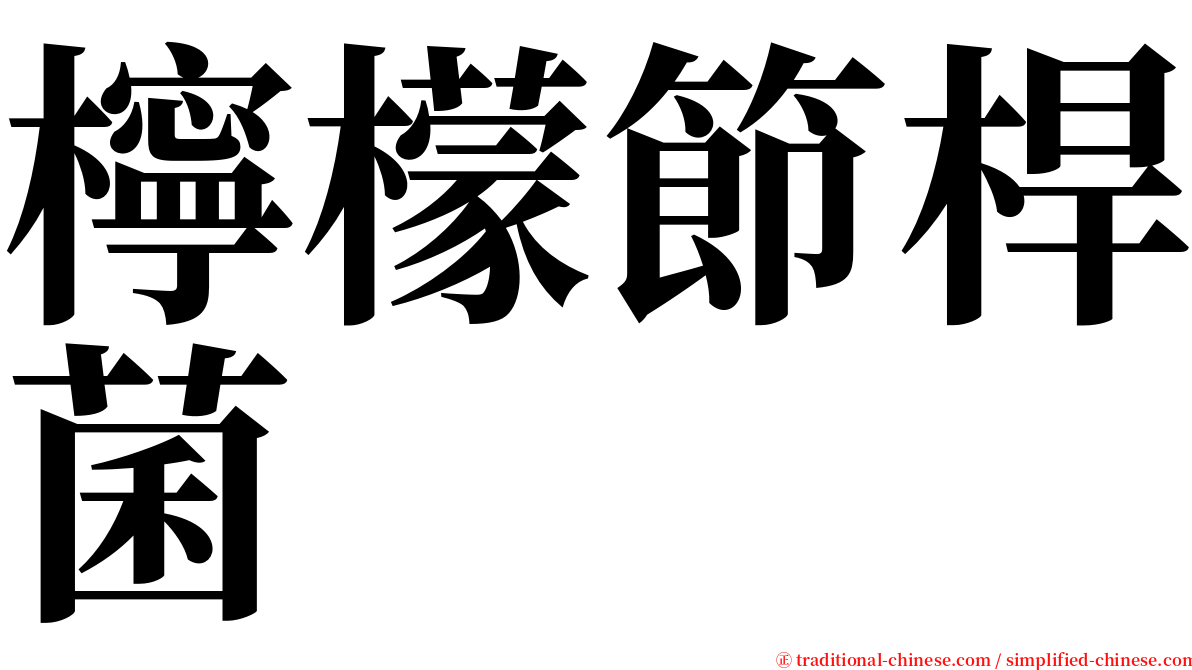 檸檬節桿菌 serif font