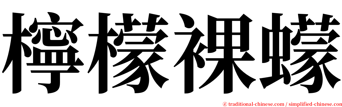 檸檬裸蠓 serif font