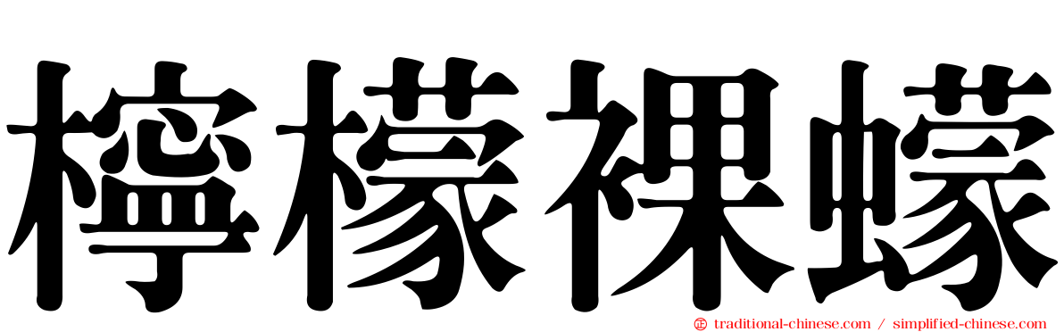 檸檬裸蠓