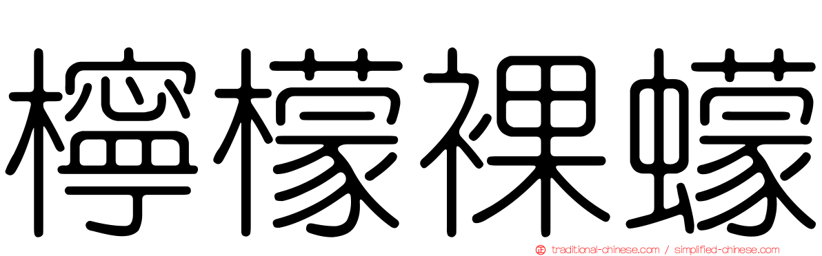 檸檬裸蠓