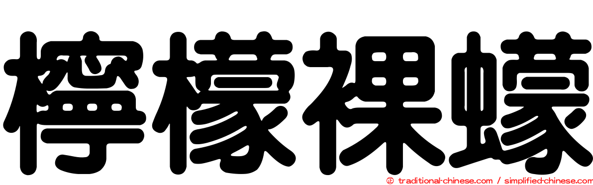 檸檬裸蠓