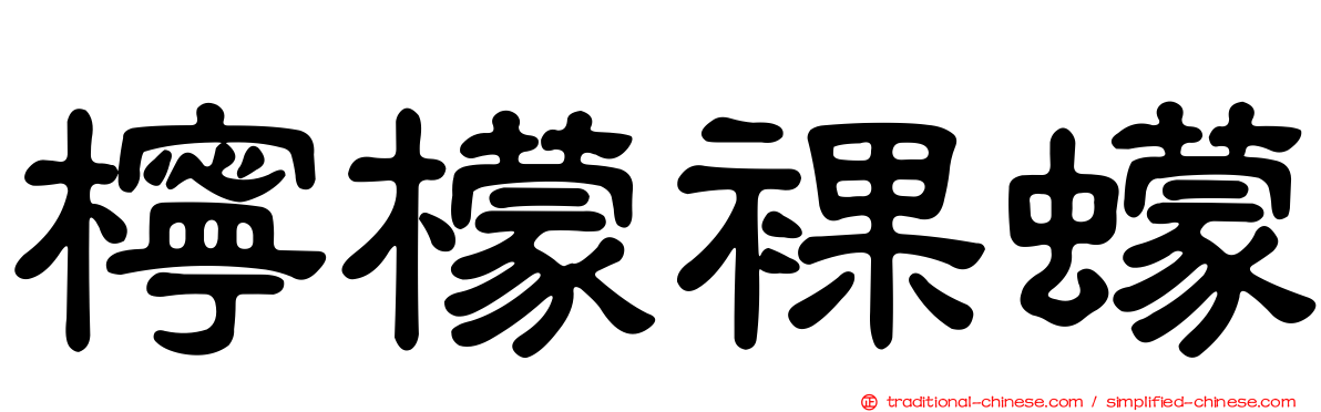 檸檬裸蠓