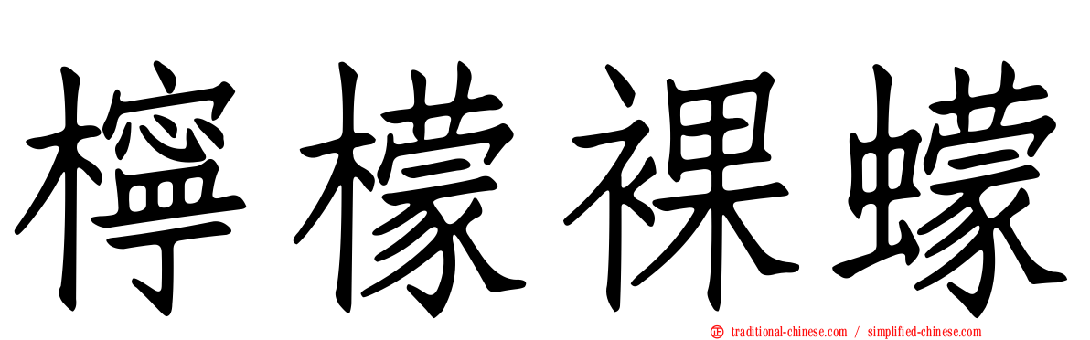 檸檬裸蠓