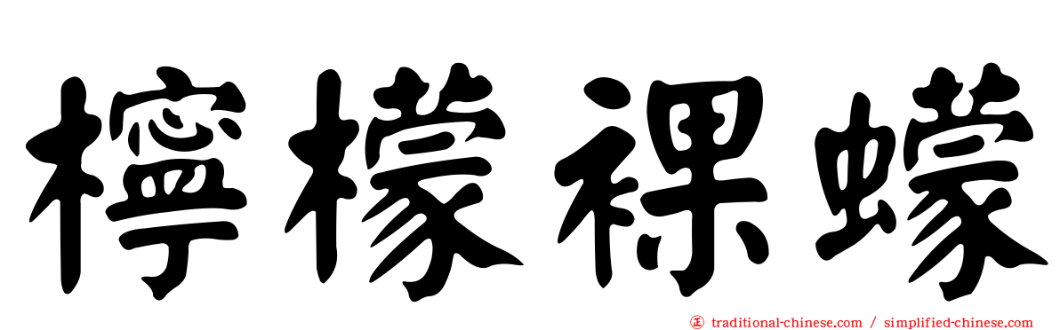 檸檬裸蠓