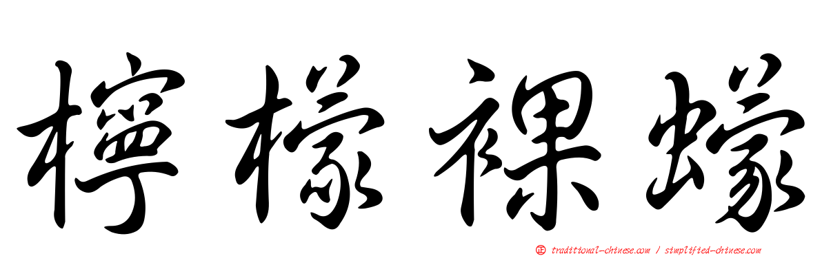 檸檬裸蠓