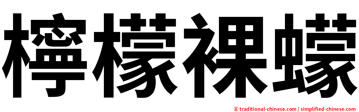 檸檬裸蠓