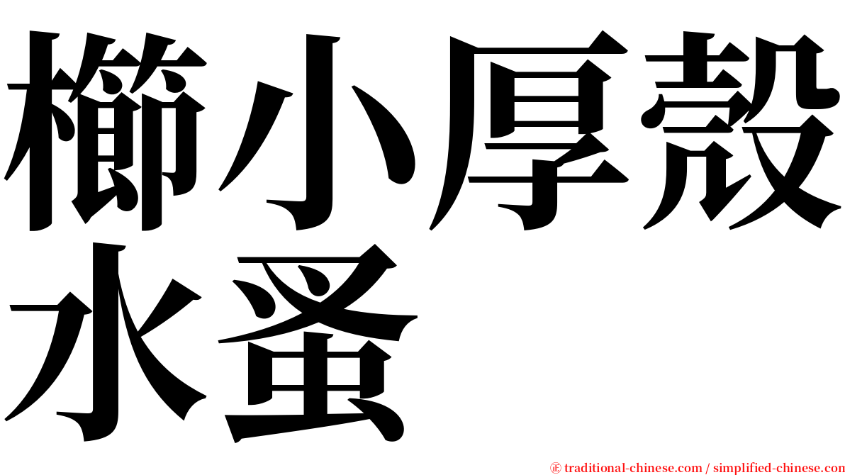 櫛小厚殼水蚤 serif font