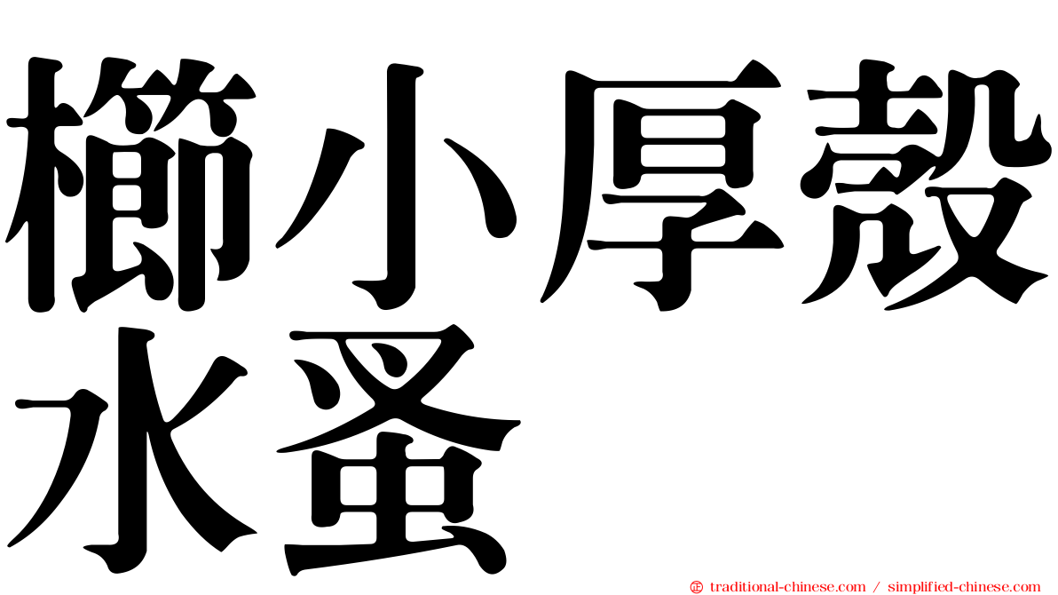 櫛小厚殼水蚤