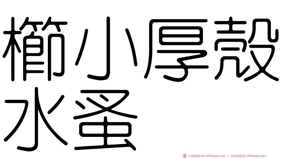 櫛小厚殼水蚤