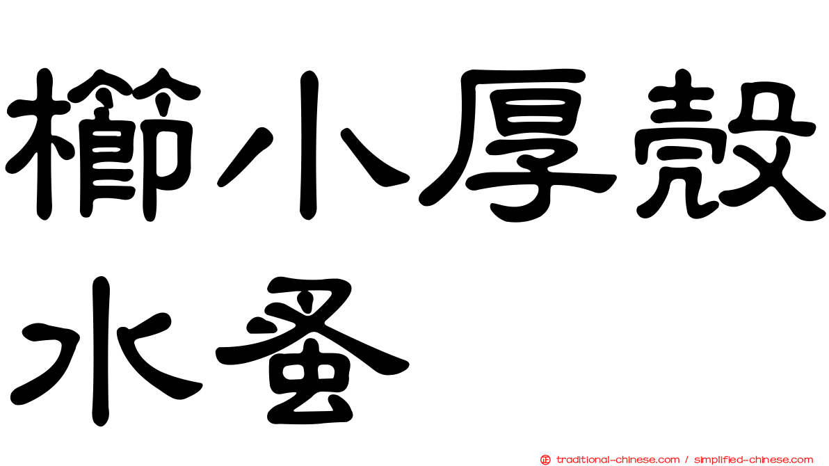 櫛小厚殼水蚤