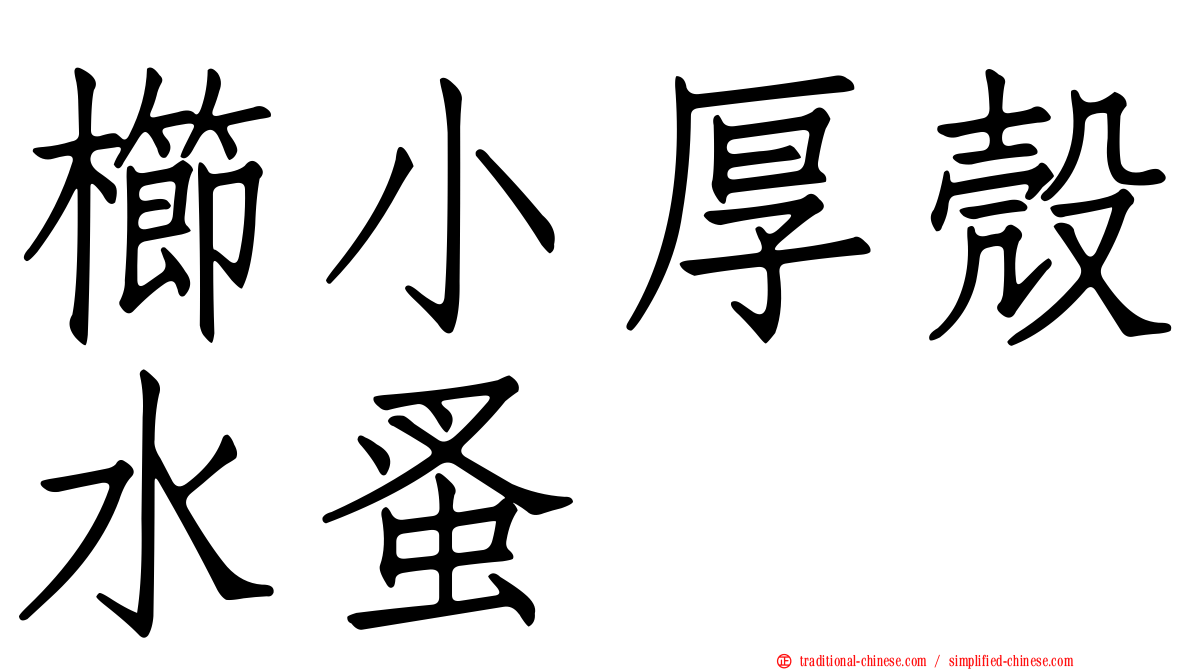櫛小厚殼水蚤