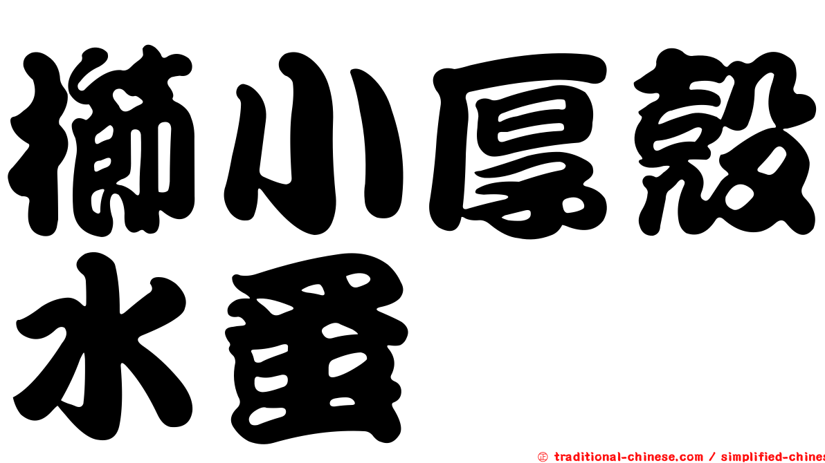 櫛小厚殼水蚤