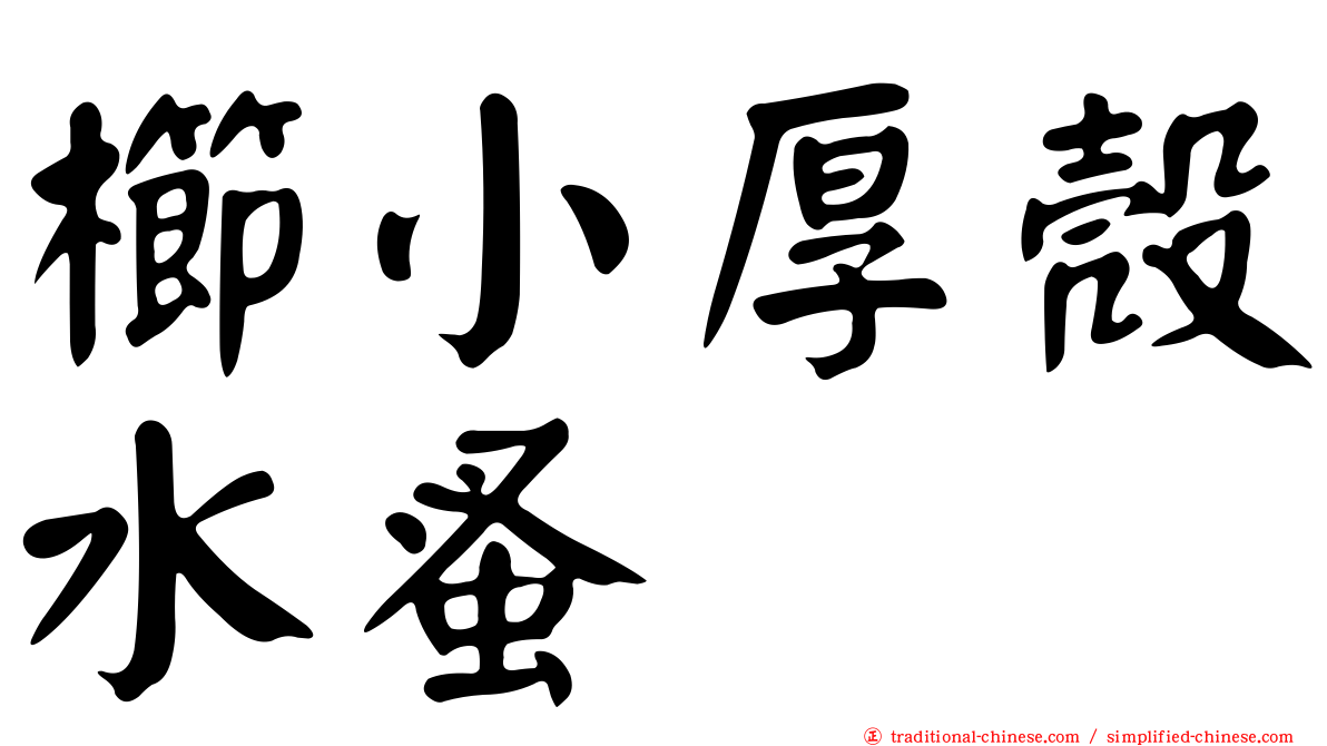 櫛小厚殼水蚤
