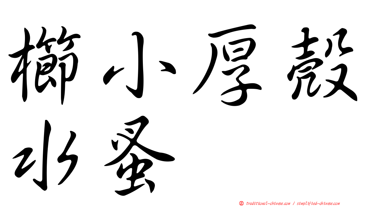 櫛小厚殼水蚤