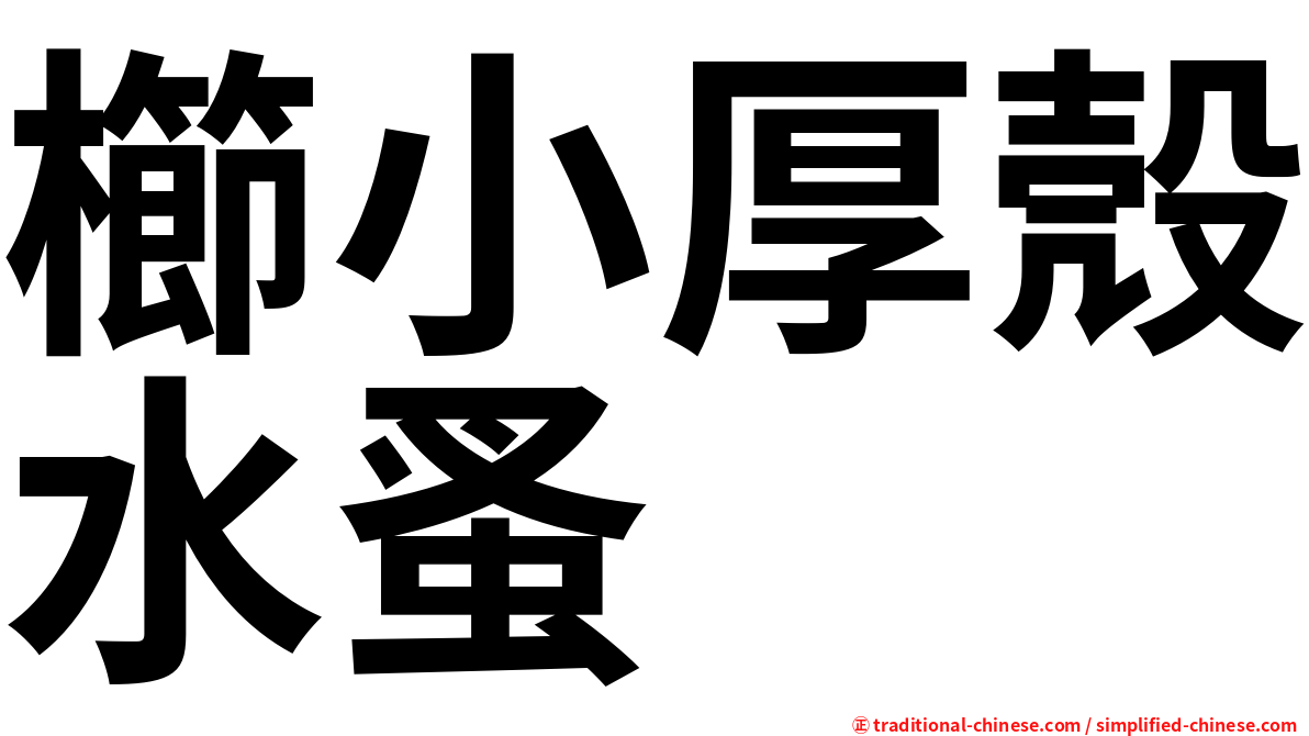 櫛小厚殼水蚤