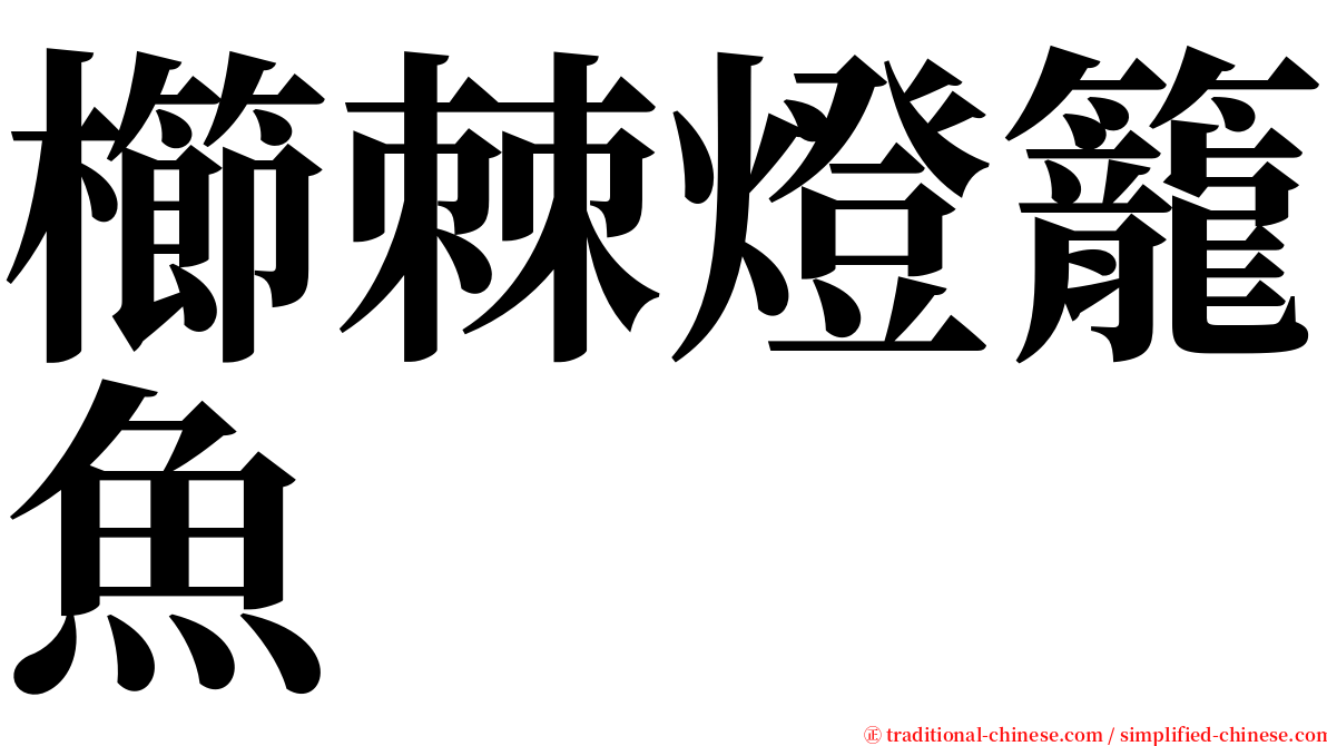 櫛棘燈籠魚 serif font
