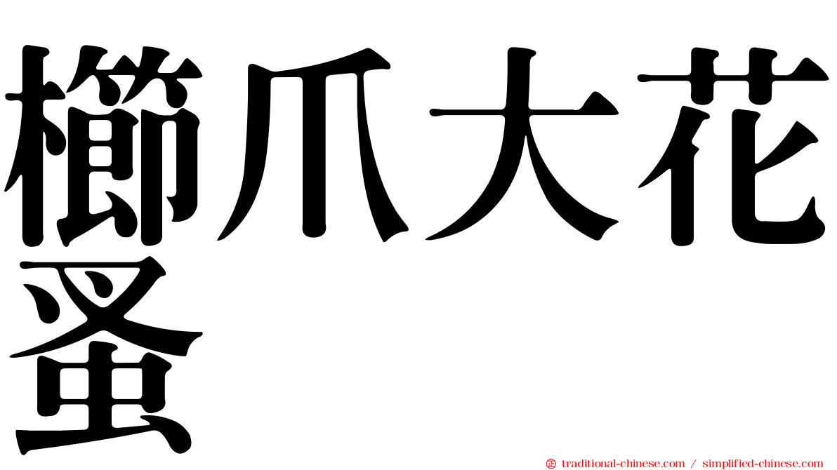 櫛爪大花蚤