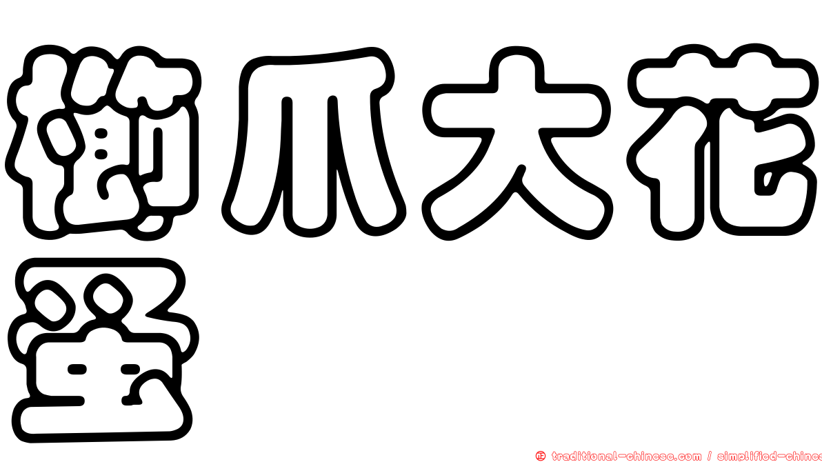櫛爪大花蚤