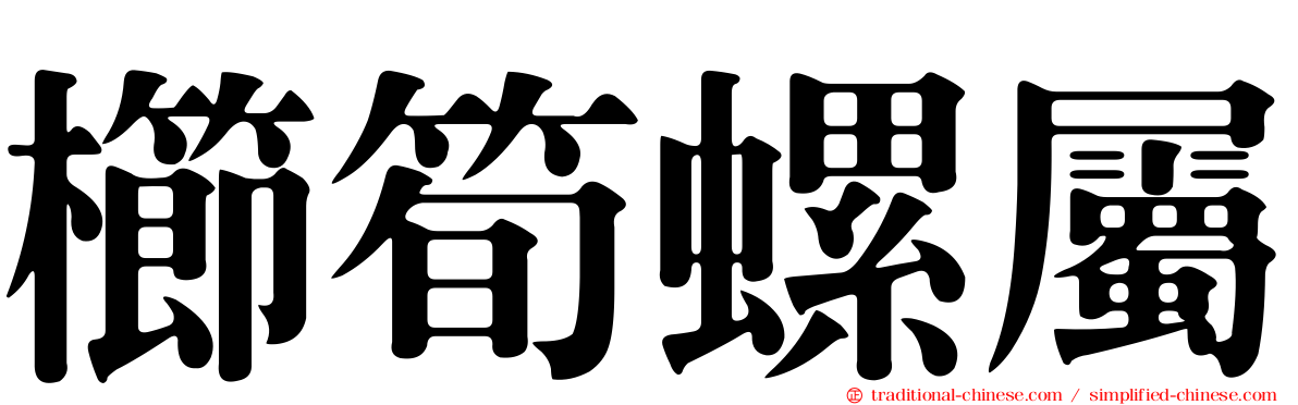櫛筍螺屬