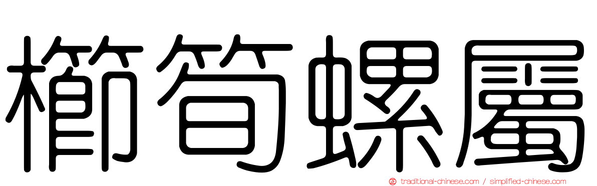 櫛筍螺屬