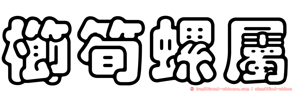 櫛筍螺屬