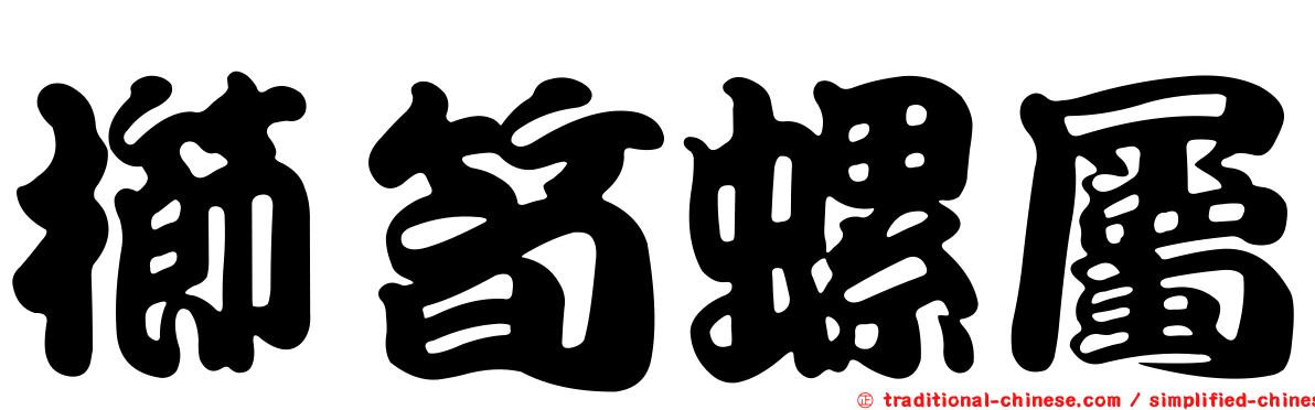 櫛筍螺屬