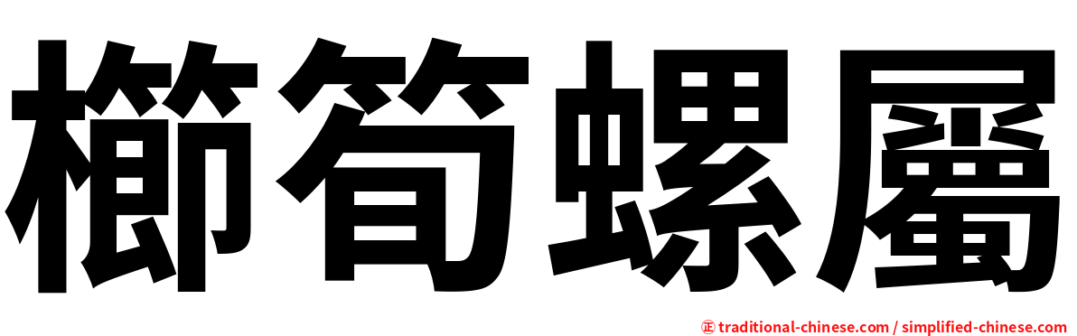 櫛筍螺屬