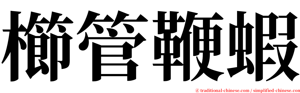 櫛管鞭蝦 serif font