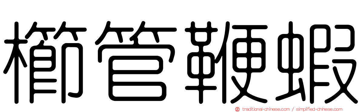 櫛管鞭蝦