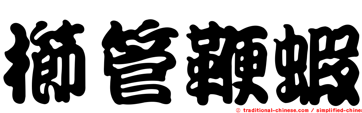 櫛管鞭蝦