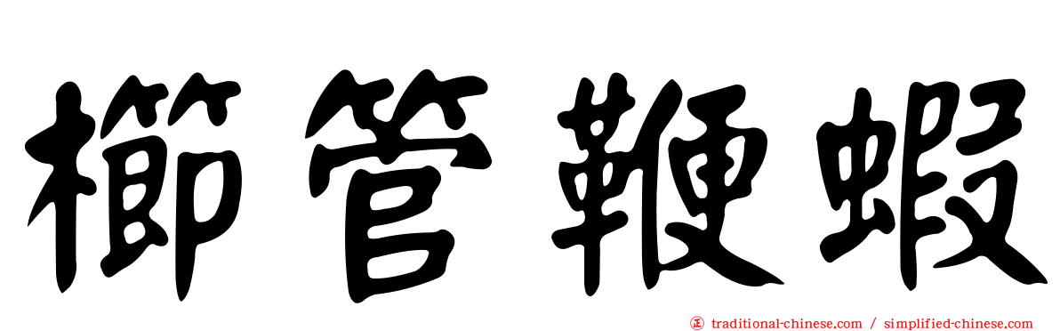 櫛管鞭蝦