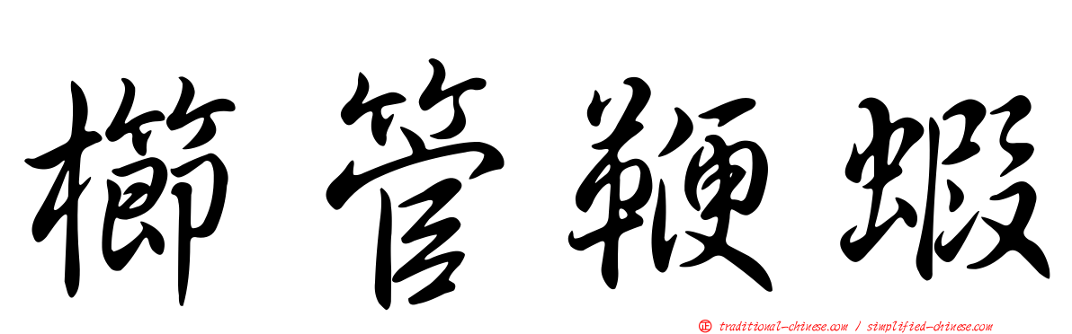 櫛管鞭蝦