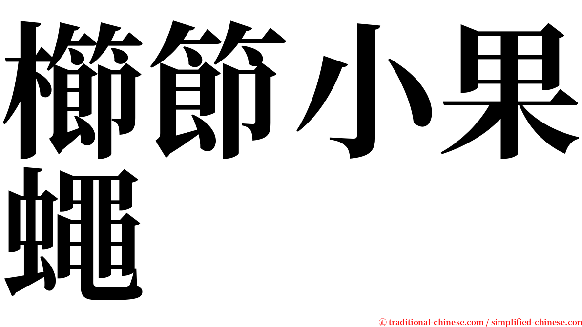 櫛節小果蠅 serif font