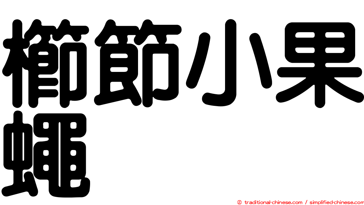 櫛節小果蠅